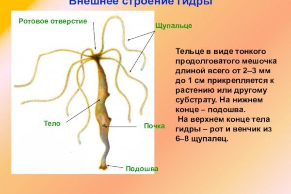 Ссылка на кракен в браузере